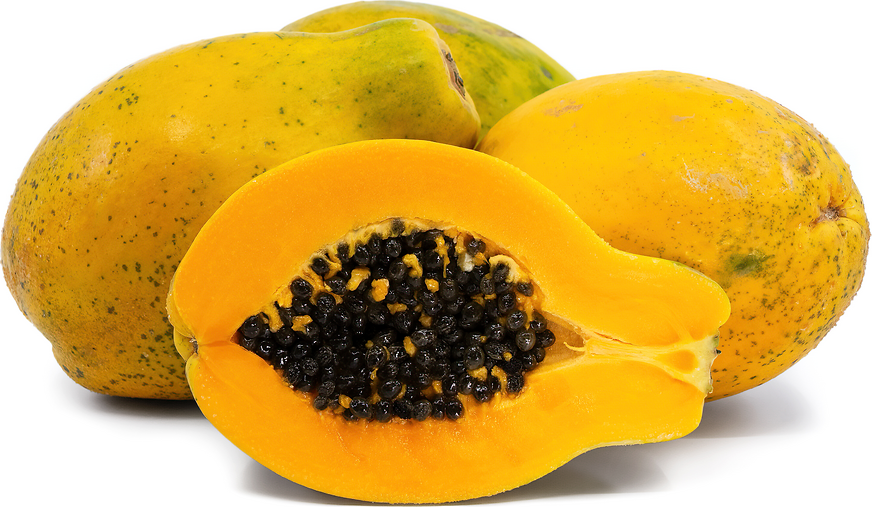 Fruit Seeds,Garden seeds, Seeds For Planting,Plant Seeds