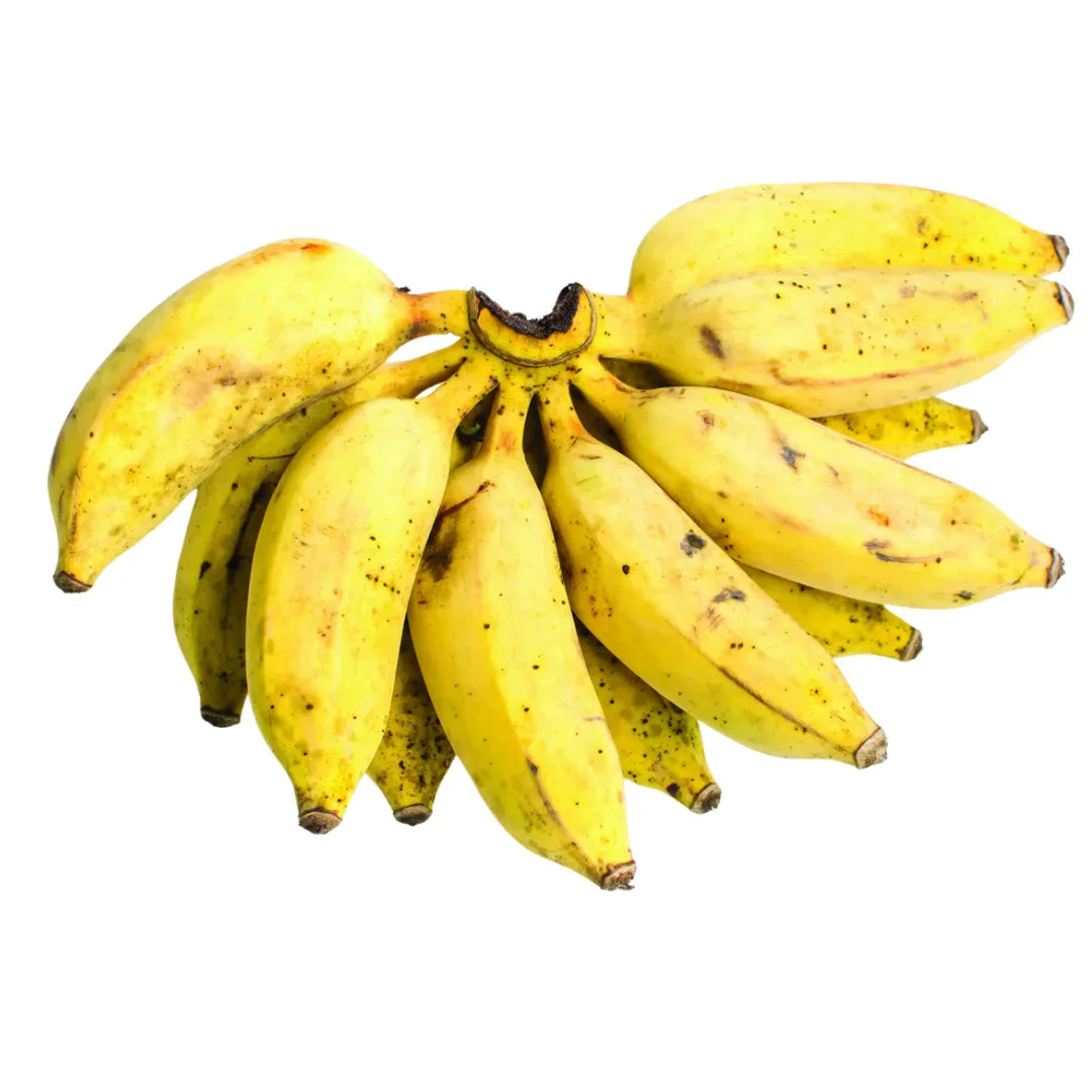 Fruit Seeds,Garden seeds, Seeds For Planting,Plant Seeds