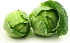 Vegetable Seeds,Garden seeds, Seeds For Planting,Plant Seeds