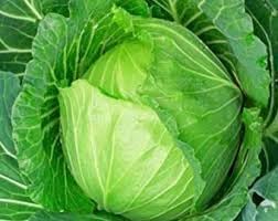 Vegetable Seeds,Garden seeds, Seeds For Planting,Plant Seeds