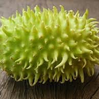 Vegetable Seeds,Garden seeds, Seeds For Planting,Plant Seeds
