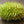 Vegetable Seeds,Garden seeds, Seeds For Planting,Plant Seeds