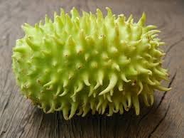 Vegetable Seeds,Garden seeds, Seeds For Planting,Plant Seeds