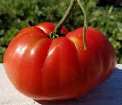 Vegetable Seeds,Garden seeds, Seeds For Planting,Plant Seeds