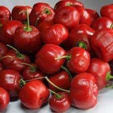 Vegetable Seeds,Garden seeds, Seeds For Planting,Plant Seeds