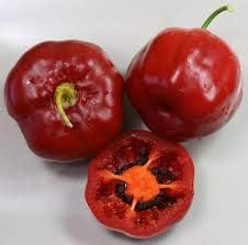 Vegetable Seeds,Garden seeds, Seeds For Planting,Plant Seeds