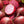 Vegetable Seeds,Garden seeds, Seeds For Planting,Plant Seeds