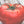 Vegetable Seeds,Garden seeds, Seeds For Planting,Plant Seeds
