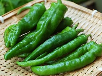 Vegetable Seeds,Garden seeds, Seeds For Planting,Plant Seeds