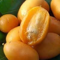 Fruit Seeds,Garden seeds, Seeds For Planting,Plant Seeds