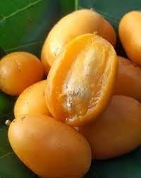 Fruit Seeds,Garden seeds, Seeds For Planting,Plant Seeds