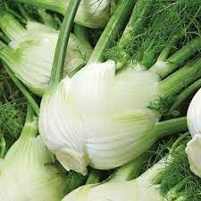 Vegetable Seeds,Garden seeds, Seeds For Planting,Plant Seeds