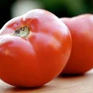 Vegetable Seeds,Garden seeds, Seeds For Planting,Plant Seeds