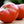 Vegetable Seeds,Garden seeds, Seeds For Planting,Plant Seeds