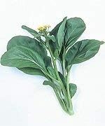 Vegetable Seeds,Garden seeds, Seeds For Planting,Plant Seeds