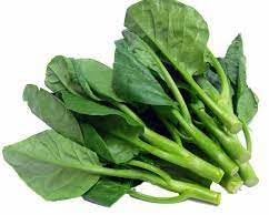 Vegetable Seeds,Garden seeds, Seeds For Planting,Plant Seeds