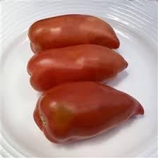 Vegetable Seeds,Garden seeds, Seeds For Planting,Plant Seeds