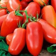 Vegetable Seeds,Garden seeds, Seeds For Planting,Plant Seeds