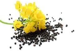 Flower Seeds, Seeds,Seeds For Planting,Plant Seeds