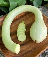 Vegetable Seeds,Garden seeds, Seeds For Planting,Plant Seeds