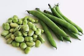 Vegetable Seeds,Garden seeds, Seeds For Planting,Plant Seeds