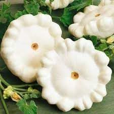 Vegetable Seeds,Garden seeds, Seeds For Planting,Plant Seeds