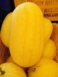 Vegetable Seeds,Garden seeds, Seeds For Planting,Plant Seeds