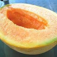 Fruit Seeds,Garden seeds, Seeds For Planting,Plant Seeds