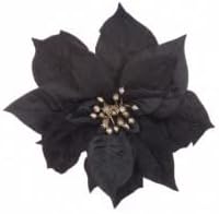 Flower Seeds, Seeds,Seeds For Planting,Plant Seeds