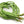 Vegetable Seeds,Garden seeds, Seeds For Planting,Plant Seeds