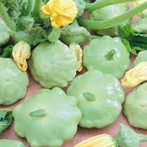 Vegetable Seeds,Garden seeds, Seeds For Planting,Plant Seeds