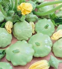 Vegetable Seeds,Garden seeds, Seeds For Planting,Plant Seeds