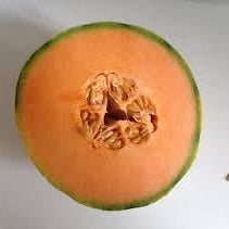 Fruit Seeds,Garden seeds, Seeds For Planting,Plant Seeds