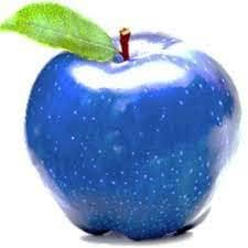 Fruit Seeds,Garden seeds, Seeds For Planting,Plant Seeds