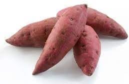 Vegetable Seeds,Garden seeds, Seeds For Planting,Plant Seeds