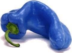 Vegetable Seeds,Garden seeds, Seeds For Planting,Plant Seeds