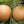 Fruit Seeds,Garden seeds, Seeds For Planting,Plant Seeds