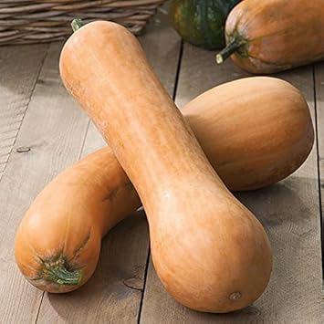 Vegetable Seeds,Garden seeds, Seeds For Planting,Plant Seeds