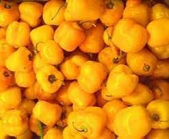 Vegetable Seeds,Garden seeds, Seeds For Planting,Plant Seeds