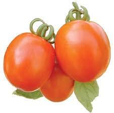 Vegetable Seeds,Garden seeds, Seeds For Planting,Plant Seeds