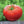 Vegetable Seeds,Garden seeds, Seeds For Planting,Plant Seeds