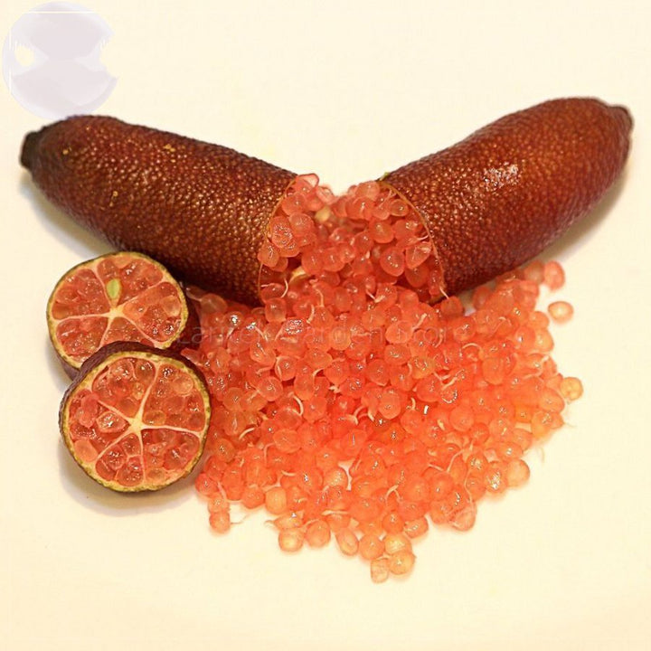 Collette Finger Lime fruit seeds for planting - Heirloom & Non-GMO Garden seeds for citrus lovers