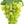 Yellow Grape Fruit Seeds for Planting – Heirloom, Non-GMO Delicious Vibrant Garden Grape Seeds