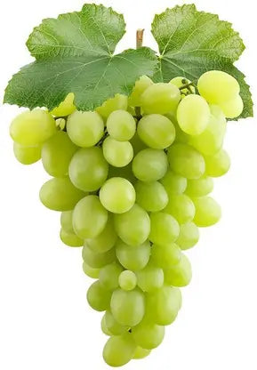 Yellow Grape Fruit Seeds for Planting – Heirloom, Non-GMO Delicious Vibrant Garden Grape Seeds