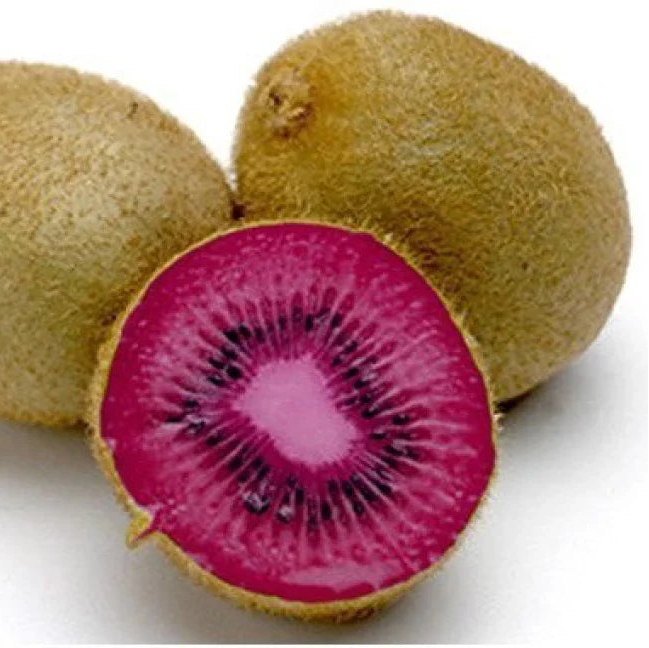 Fruit Seeds,Garden seeds, Seeds For Planting,Plant Seeds