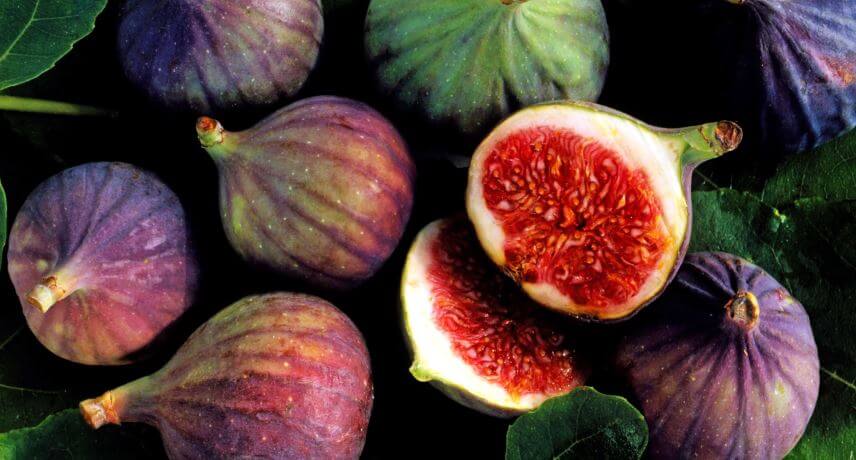 Madeira Fig Fruit Seeds – Heirloom, Non-GMO Seeds for Productive Home Orchard Tree Planting