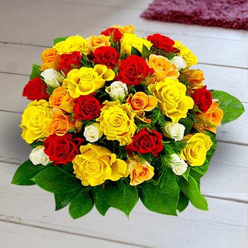 Germany Rose Flower Seeds for Planting Mixed Colors – Seasonal Bloomer, Heirloom, Non-GMO, High Germination Organic Garden Seeds