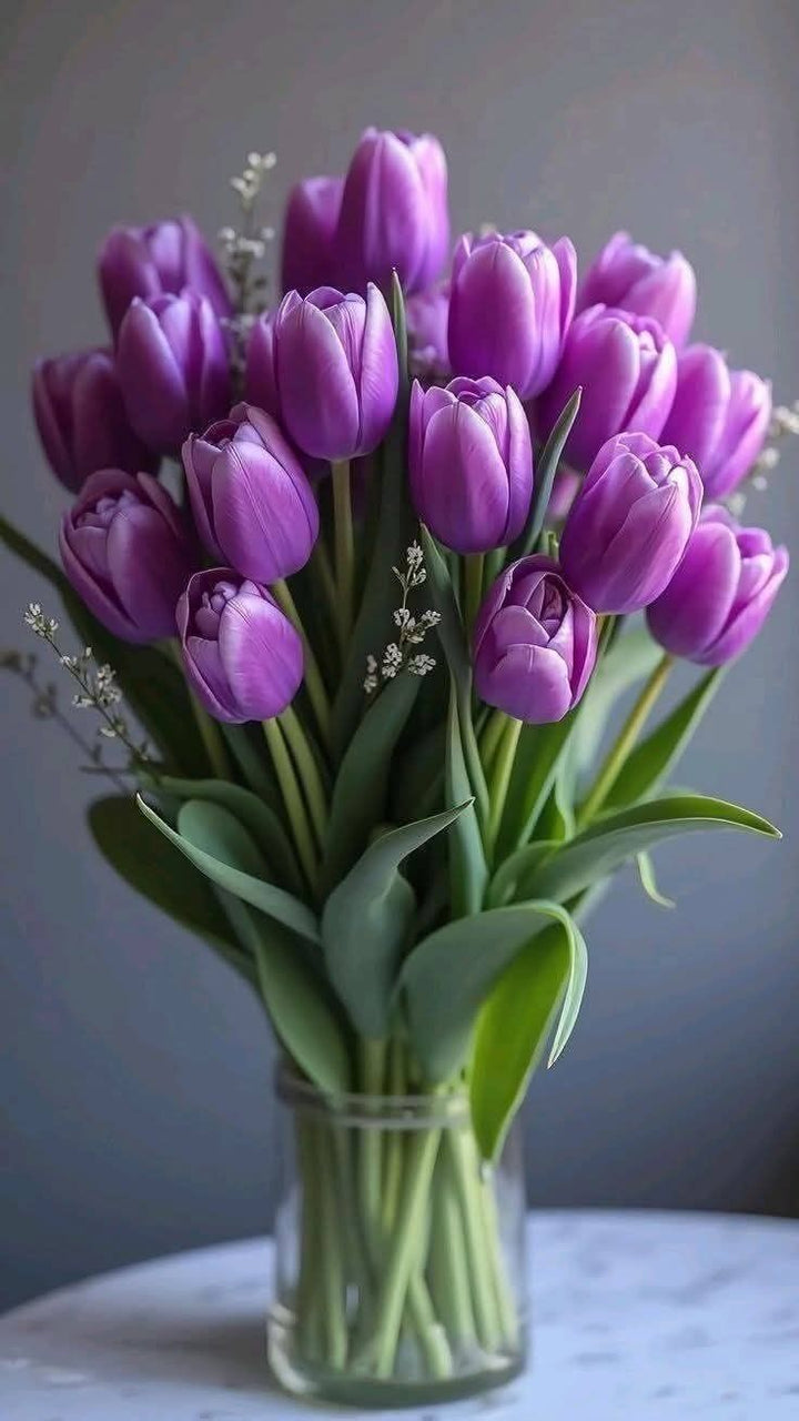 Violet Tulip Flower Seeds for Planting – Heirloom, Non-GMO, Shade Tolerant, High Germination