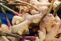 Brown Ginger Flower Seeds for Planting – Garden Favorite Heirloom, Non-GMO, High Germination Garden Seeds