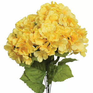Flower Seeds, Seeds,Seeds For Planting,Plant Seeds